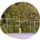 거북이PC | [Maldives][바카루]바카루 몰디브 무료 액티비티 총 정리<4-2편>(feat. 테니스·헤나·거북이 투어)