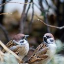 유유자적 이미지