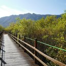 백제가요정읍사오솔길(2코스 내장호 수변데크) 이미지