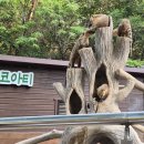 울산대공원 장미원, 동물원 방문 후기 및 상세정보공유(주말 나들이, 장미축제 정보, 시설정보)
