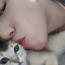 오리사랑 이미지