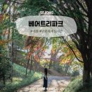 (주)인트리홀딩스 | 베어트리파크 단풍축제 11월 실시간 알려드림