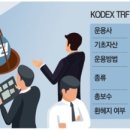 리스크 따라…주식·채권 담는 ETF 첫선 이미지