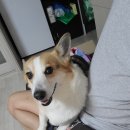 폴리파크 진평점 이미지