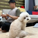 유알픽 이미지