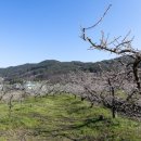 곡성-195 이미지