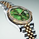 여기,초록 이미지