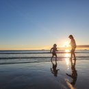 꽃지 팰리스 이미지