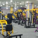 디앤비 휘트니스(평촌점) | 관양동헬스장 디앤비휘트니스 평촌점 합리적인가격과 최신기구 안내