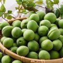 청매실