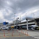 (주)대교 | 화명생태공원 수선화 실시간 개화상황 대저 벚꽃 구경 후 구포대교 건너본 후기