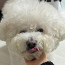(주)와플 이미지