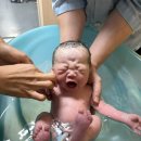 모태산후조리원 | 대전 모태산부인과&amp;모태산후조리원 2주 후기
