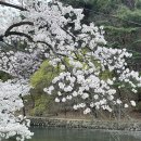 신전떡볶이 원평점 이미지