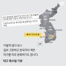 오마이갓