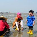 탄도민박 이미지