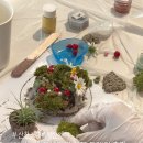 [동구샘터] 모루공예의 모든 것(모루인형, 모루플라워 만들기) | [부산 기업 출강 후기]-친환경 발포 세라믹 화분 트레이 만들기 올댓어스