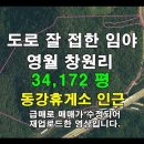 🌳 [공지] 전국 묘지·임야 매물 및 현장영상 안내 이미지