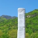 용화만물 이미지