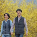 아빠의 정원 이미지