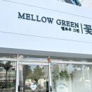 멜로우그린 | 대구반월당꽃집 추천 | 가성비 좋은 멜로우그린 내돈내산 후기