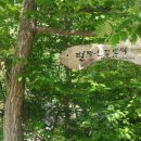 벌 민박 이미지