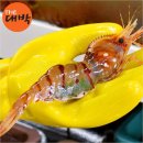Q마트(도화상회) | 아직도 비싼 돈 주고 식당 가세요? THE대박 독도새우 꽃새우 닭새우 도화새우 집에서 즐긴 후기