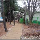 황새울교 앞 이미지