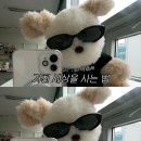 (주)단주 이미지