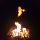 자연펜션캠핑장 이미지