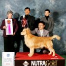 2007 KROC RETRIEVER SPECIALTY SHOW-BISS 이미지
