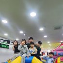 팀라이온 이미지