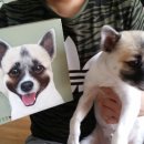 쭈쭈 이미지