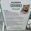 글램독청평 이미지