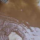 완월동150 이미지