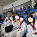 용인대 일등 태권도 네이버블로그