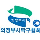 아이핑클럽 이미지