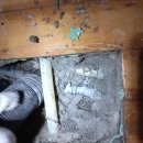 북원상가(2층) | 원주하수구 하수구막힘싱크대막힘변기막힘뚫음누수탐지고압세척명인 이용후기