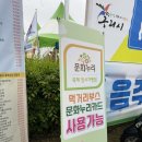 [구리 유채꽃 축제] 먹거리장터 메뉴판 가격 솔직후기