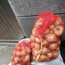 정도 듬뿍 채소도 듬뿍 이미지