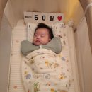 코코포토스튜디오 네이버블로그