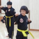 의성격투기 이미지