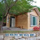 합천민박 이미지