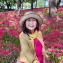 활천공원 이미지