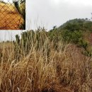 봉도농장 이미지