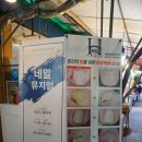 선영애견샵