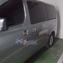 뉴월드관광나이트 이미지