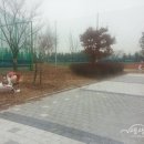 독고탁야구장 네이버블로그