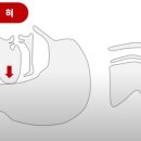 생명을 살리는 심폐소생술(CPR) 이미지