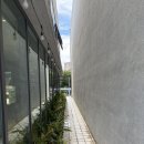 [제주도] 서쪽 제주도민 빵집 베이커리 맛집 베이커리온유 솔직후기(주차장 정보)